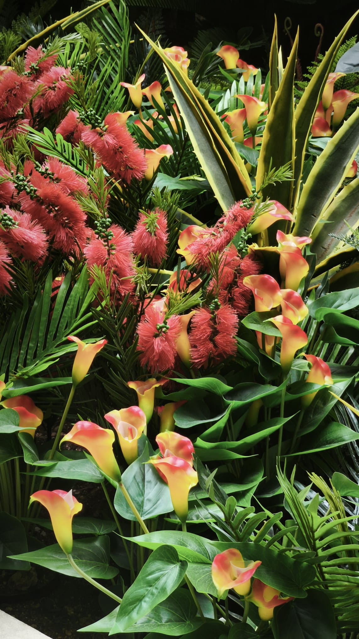 Exotische Blüten in Kroatien