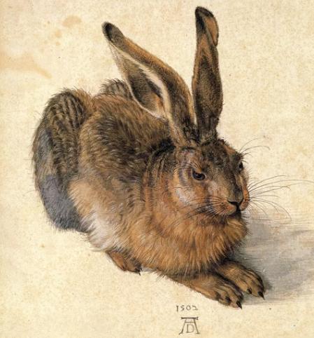 Albrecht Dürer – Feldhase, 1502 · Kunst in Häppchen im BODA WEINHAUS