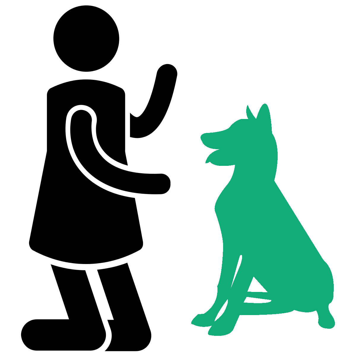 Einzeltraining bei DogHarmony — Trainer arbeitet mit Hund