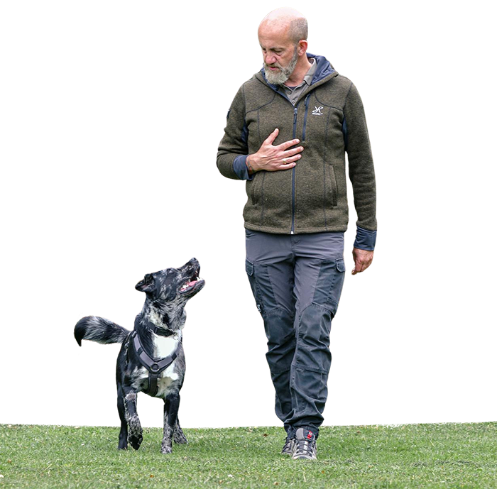 DogHarmony Training — Mensch und Hund arbeiten zusammen