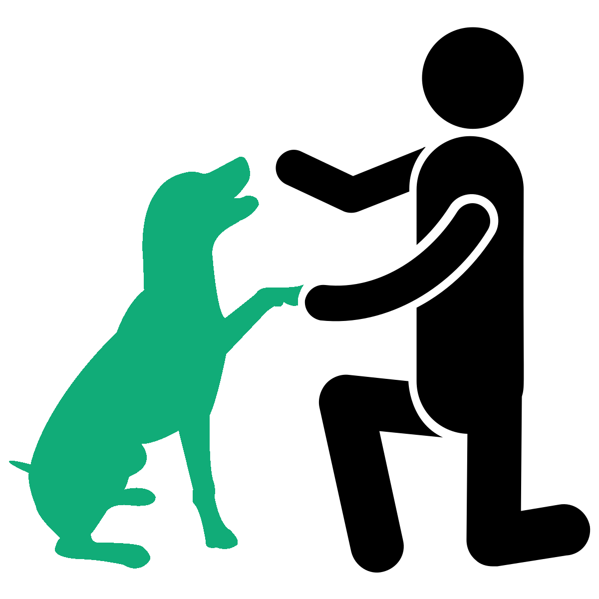 Grundkurs DogHarmony