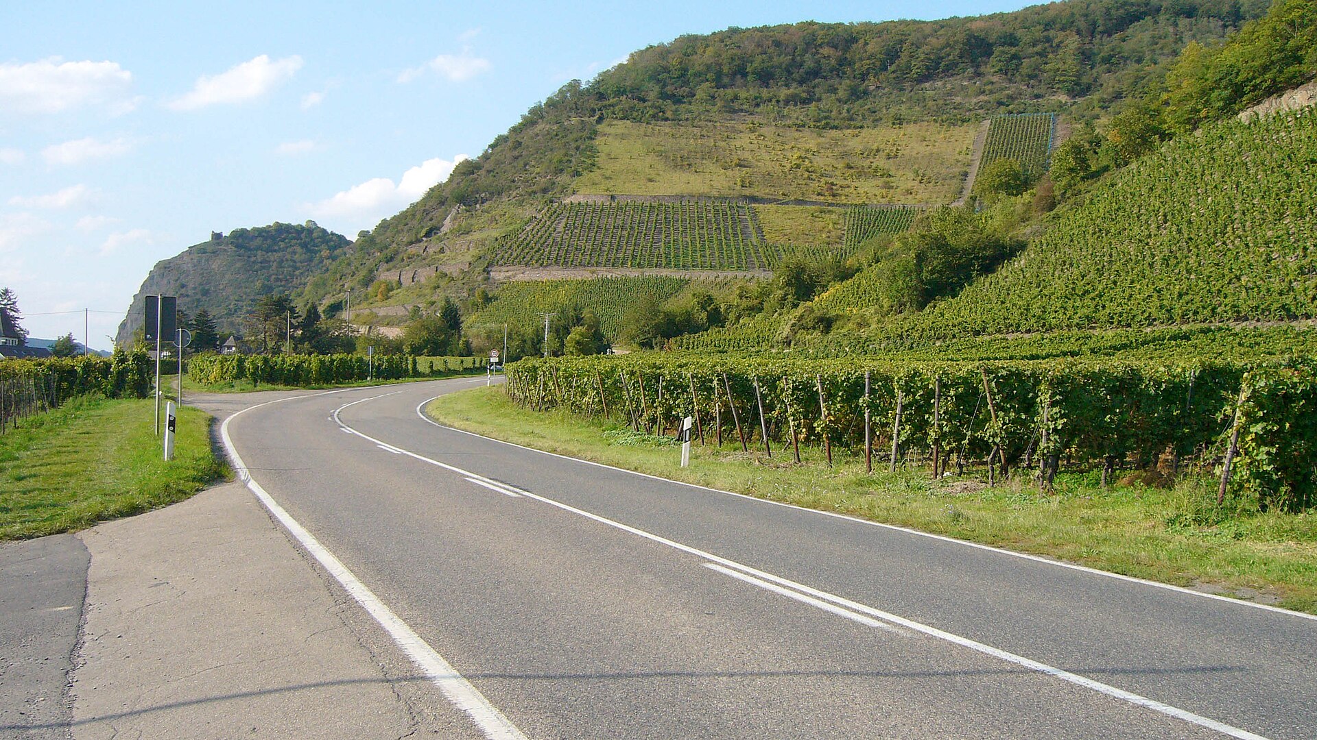 Wein am Rhein im Mittelrheintal